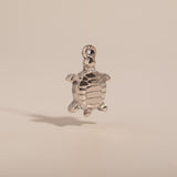 Turtle Charm